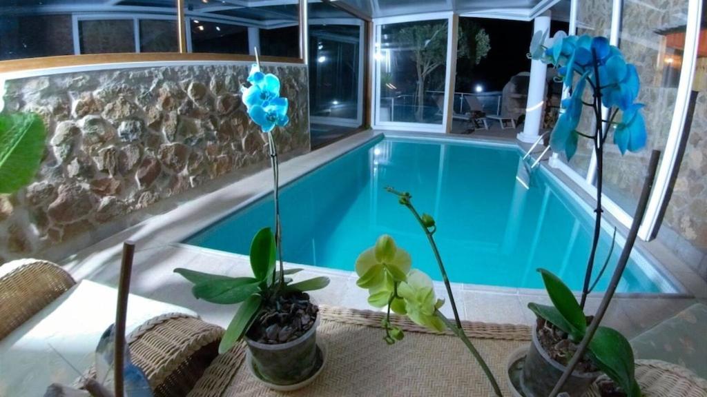 Villa Cantos Del Grillo 因赫尼奥 外观 照片